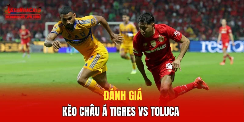 Đánh giá kèo châu Á Tigres vs Toluca 